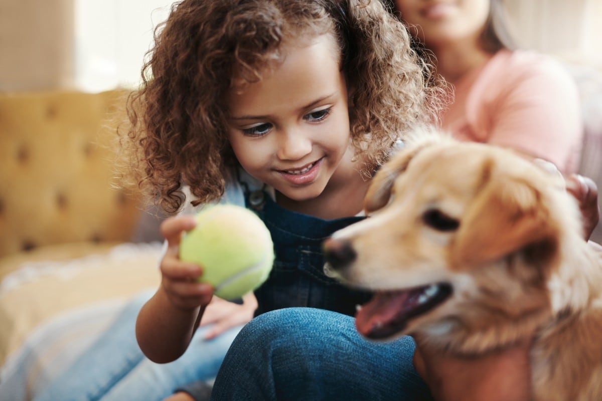 child playing ball with a dog