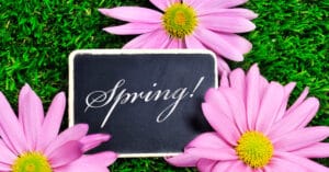 pdSpring