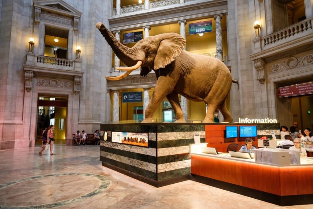 The Smithsonian, National Museum of Natural History