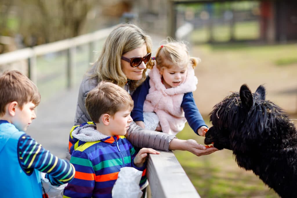 Farms & Petting Zoos