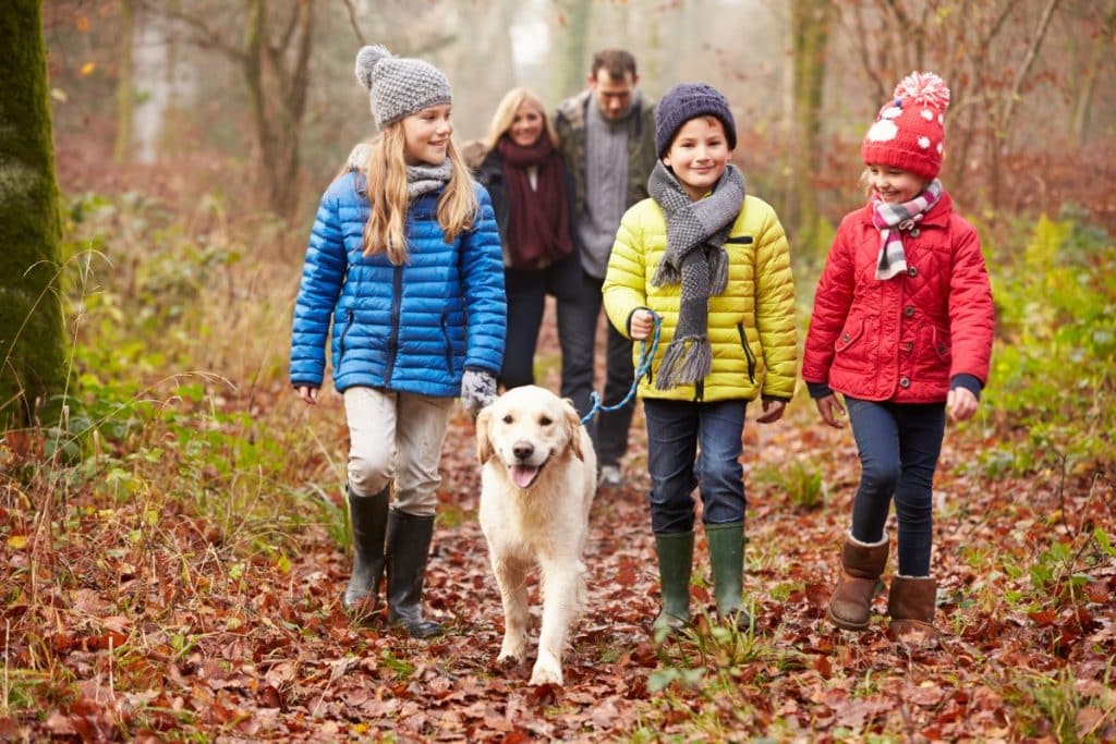a family and their dog walking outside in the Fall.