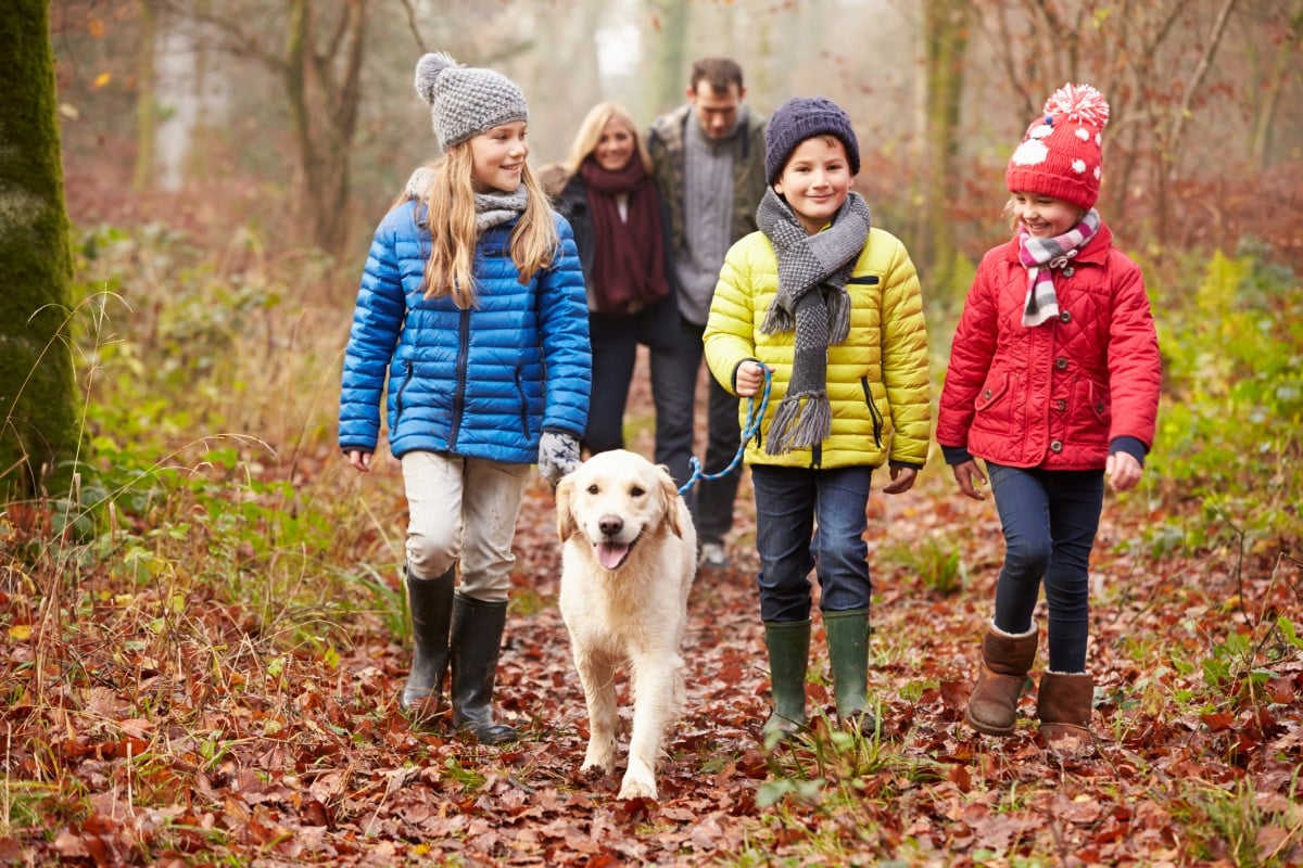 a family and their dog walking outside in the Fall.