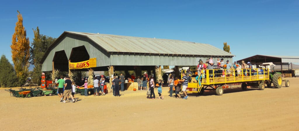 Farms Provide Fantastic Fall Family Fun