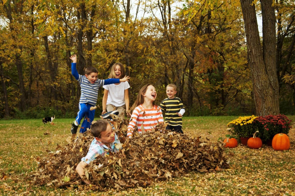 Family Things To Do