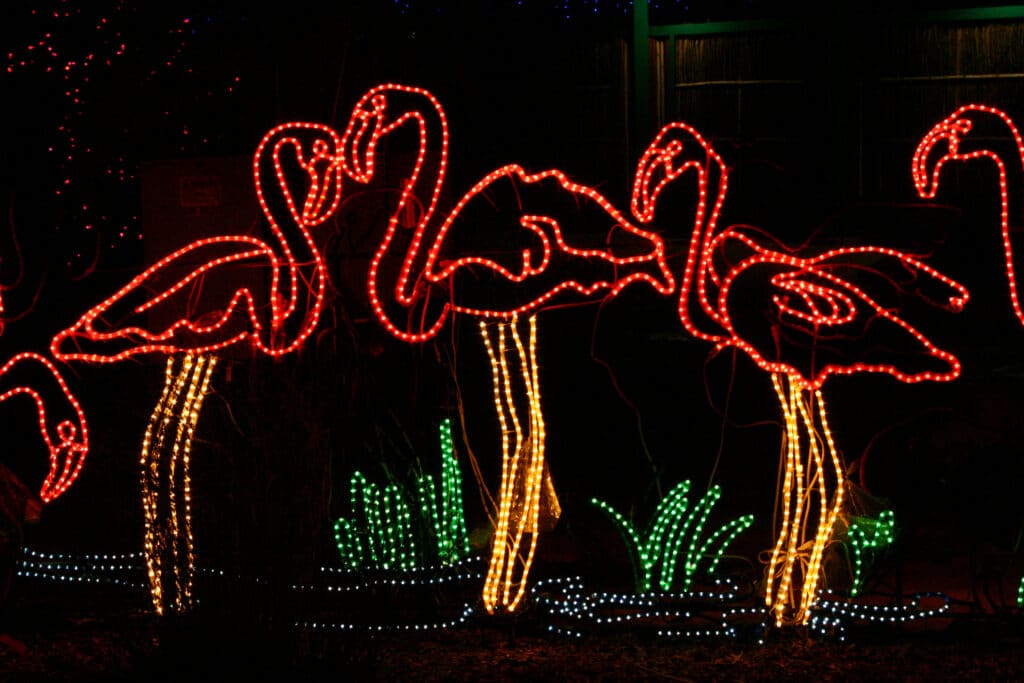 Family Drive-Through Holiday Experiences