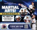 Champions Martial Arts Woodbury