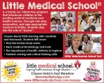 Little Medical School