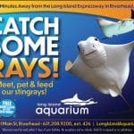 Business Directory Your Local Kids Long Island Aquarium