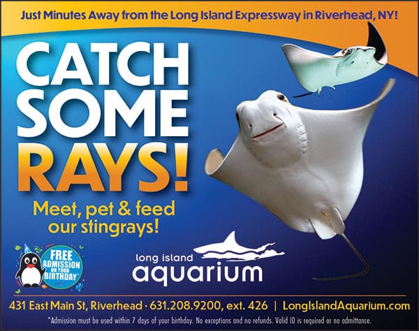 Business Directory Your Local Kids Long Island Aquarium