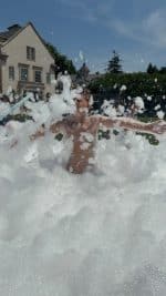 Foam Fairies